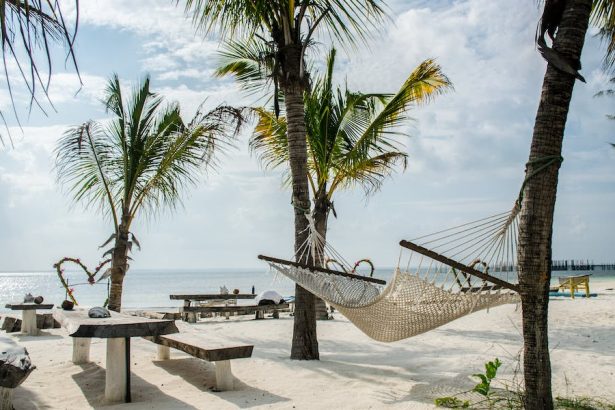 zanzibar-ležaljka-plaža